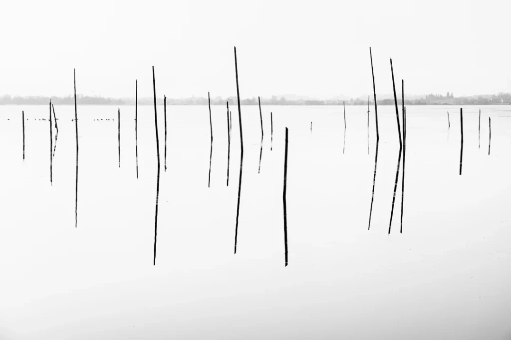 impressionsinfocus.com photography blog abstract lines black and white