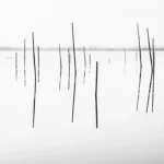 impressionsinfocus.com photography blog pixel inspiration abstract lines black and white