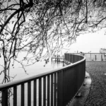 about my photography impressionsinfocus.com curved lines black and white
